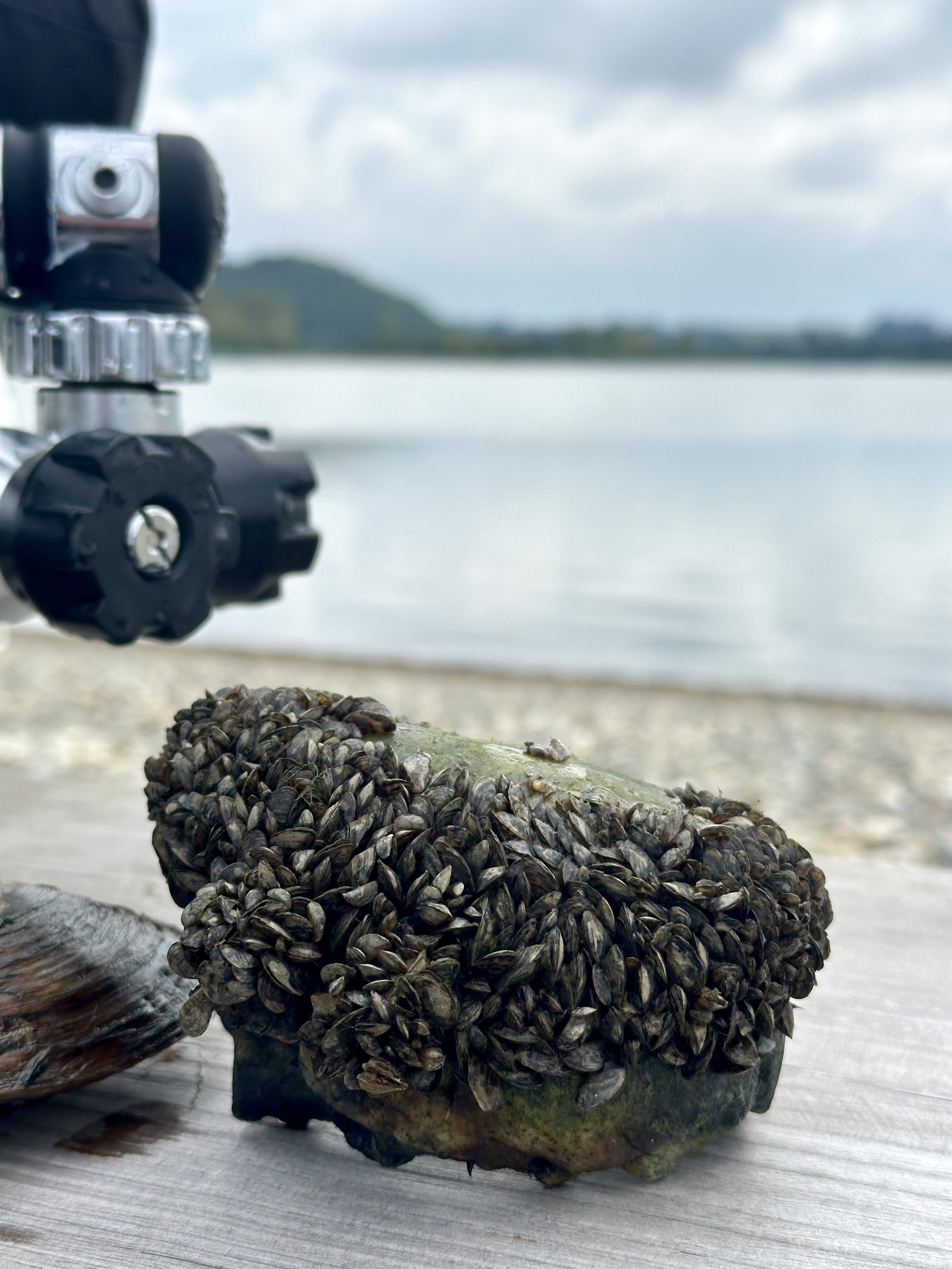 Rekognoskace dna Hlučínského jezera